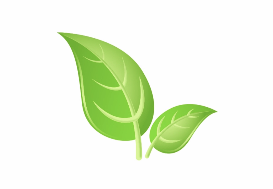 Avatar for Eco-Dry Carpet & Upsholery Care