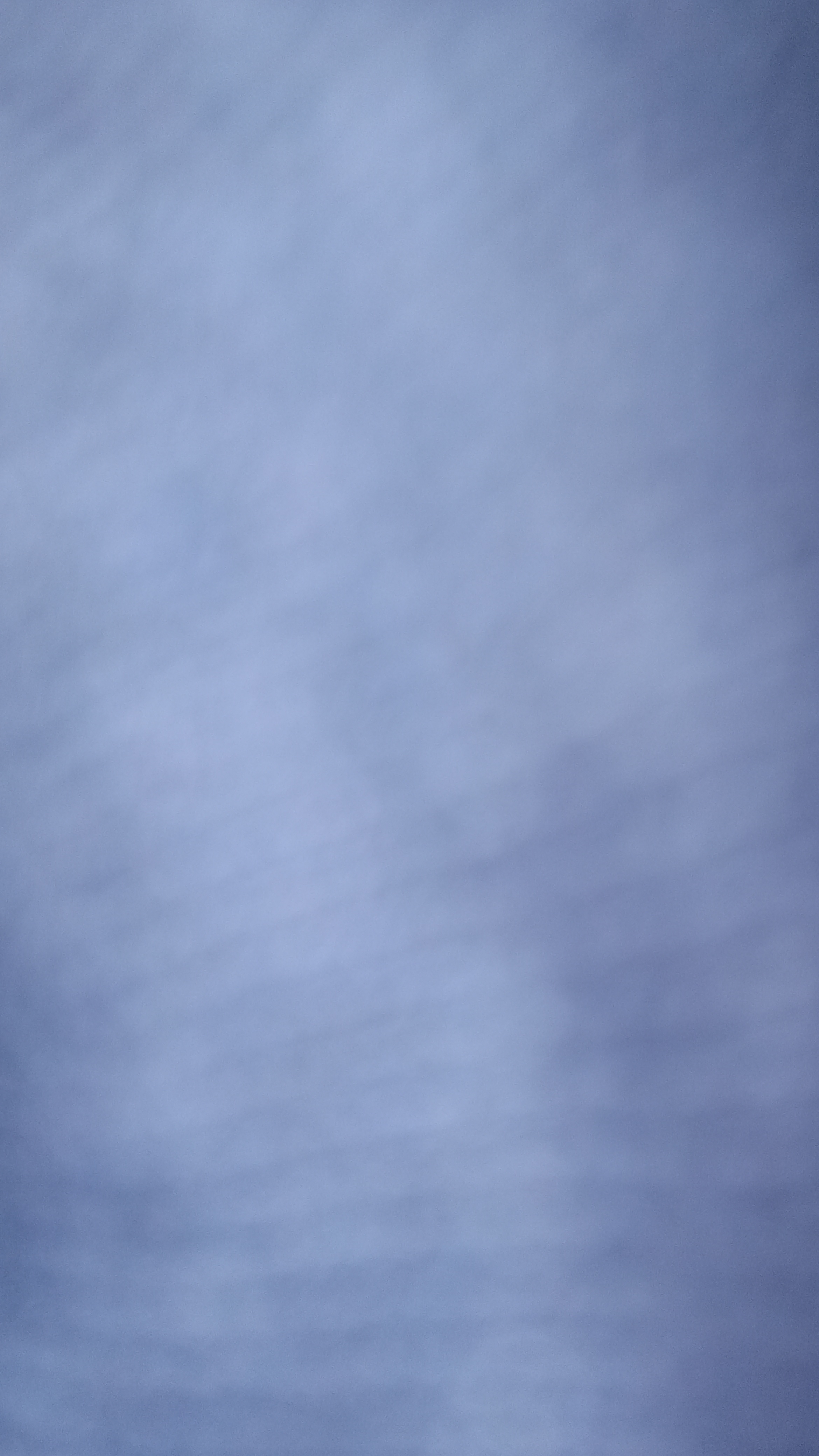 Avatar for Tyleena Moya