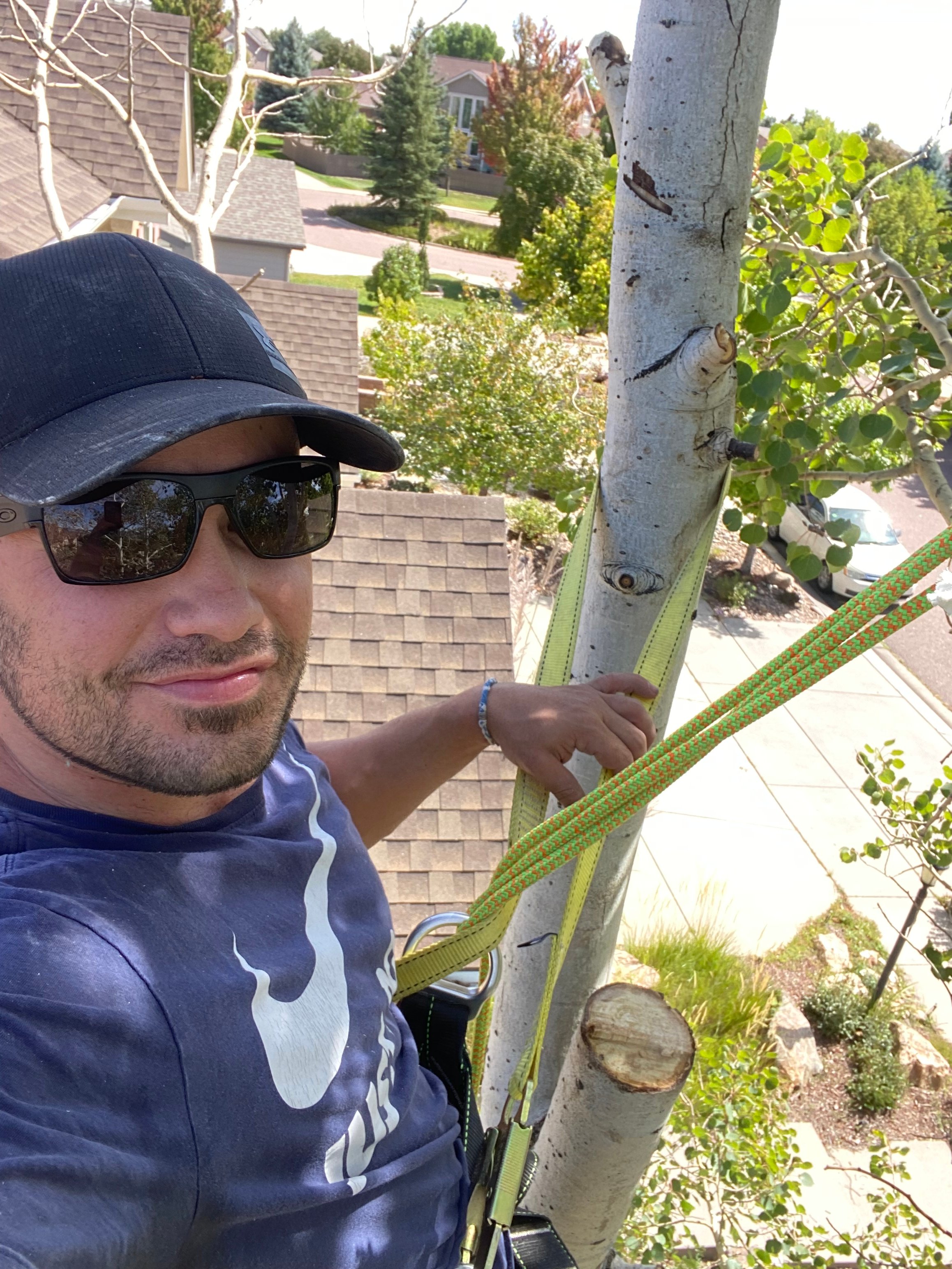 Avatar for Unbreakable Tree and Shrub service