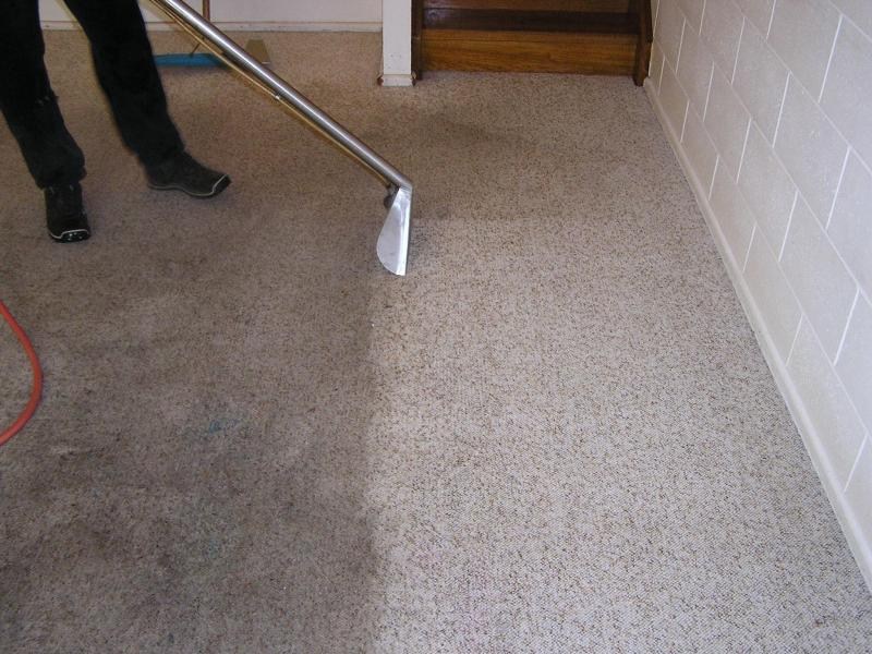 Carpet Cleaning