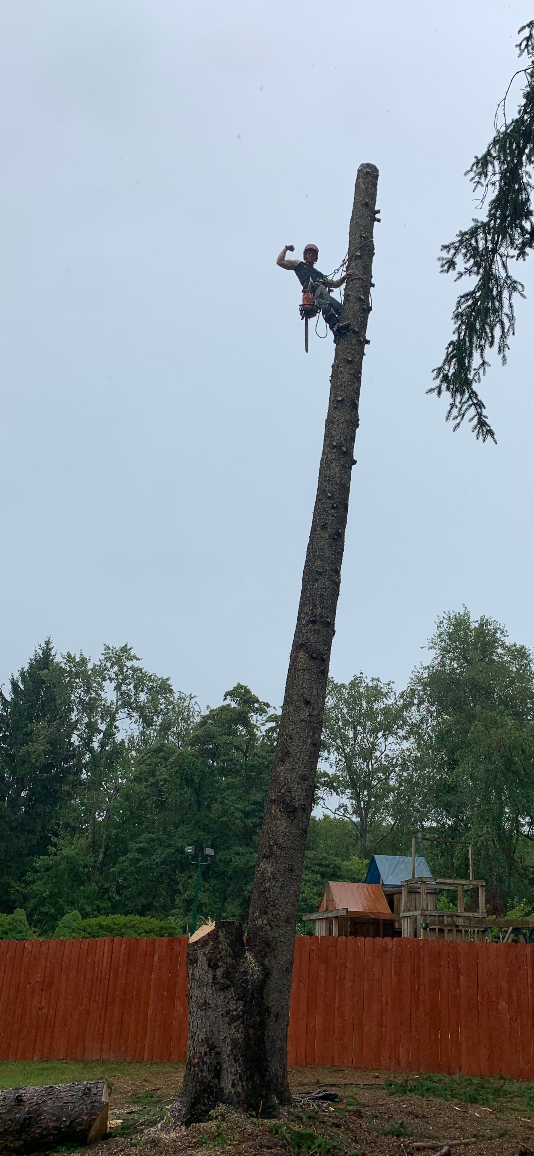 Avatar for Nick Smither