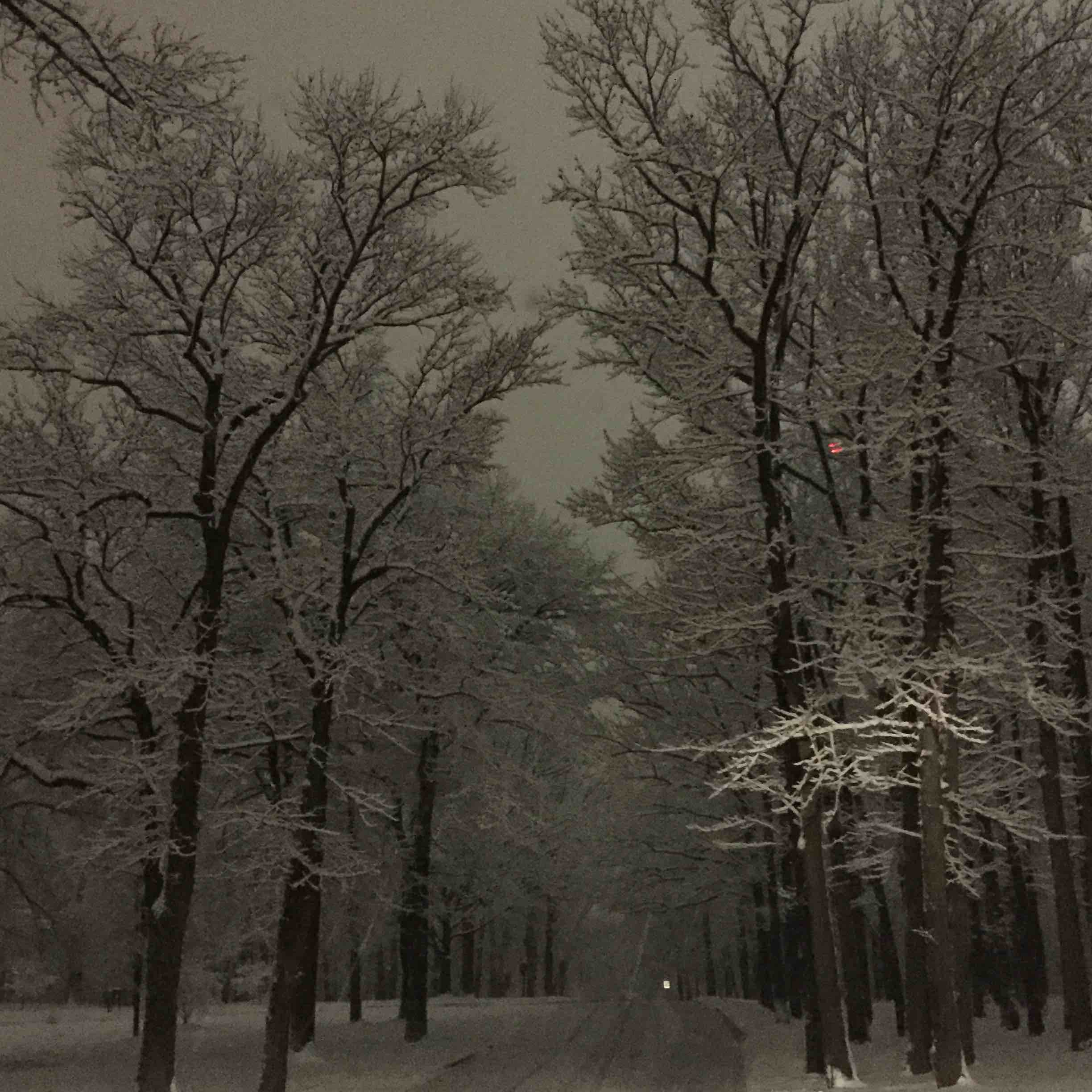 Avatar for DC Landscaping