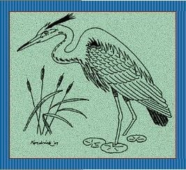 Avatar for Blue Heron Construction, Inc.