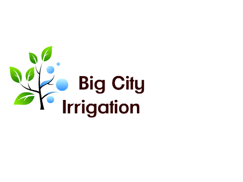 Avatar for big city irrigation