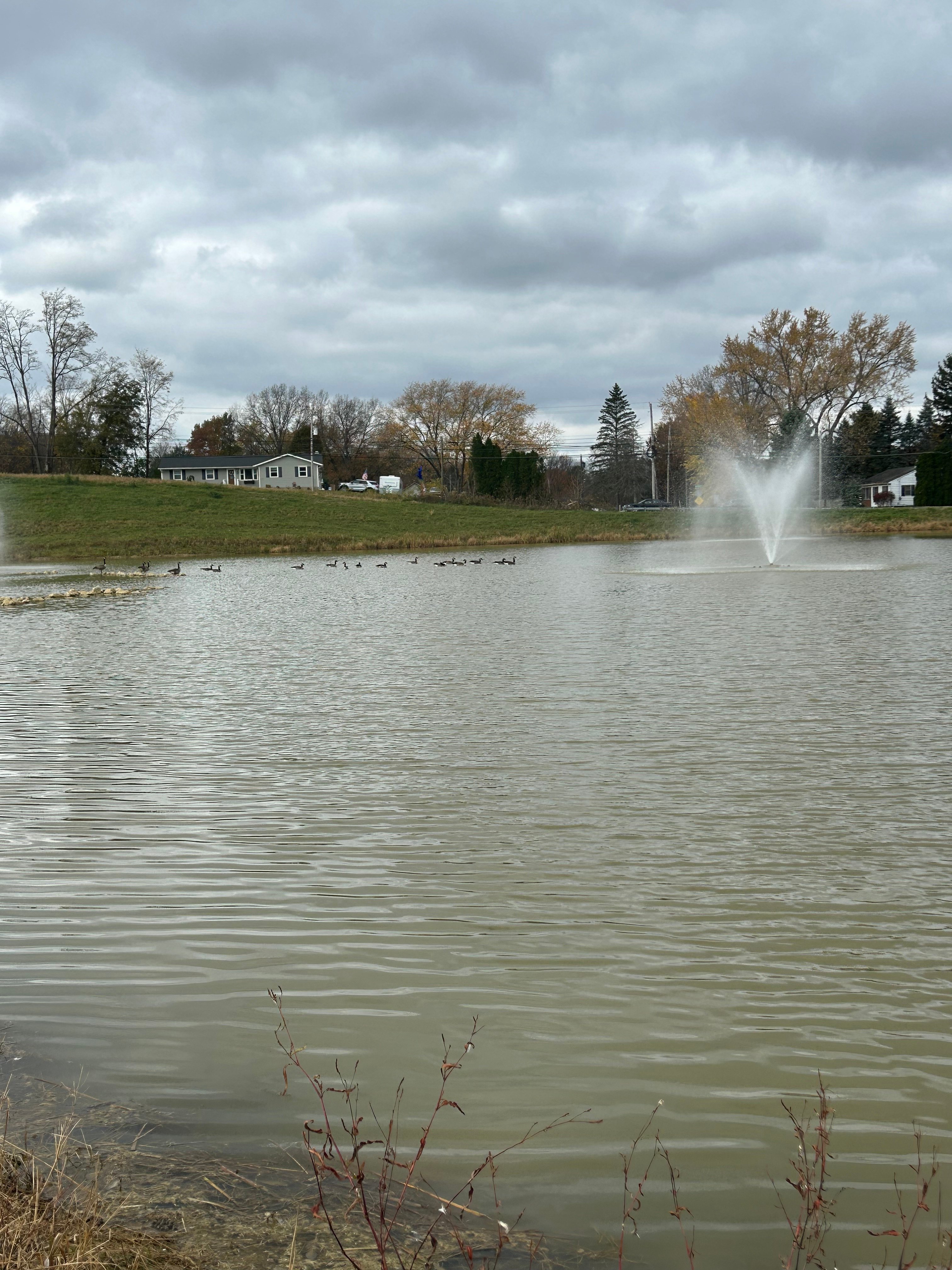 Avatar for Abigail Eckmeyer