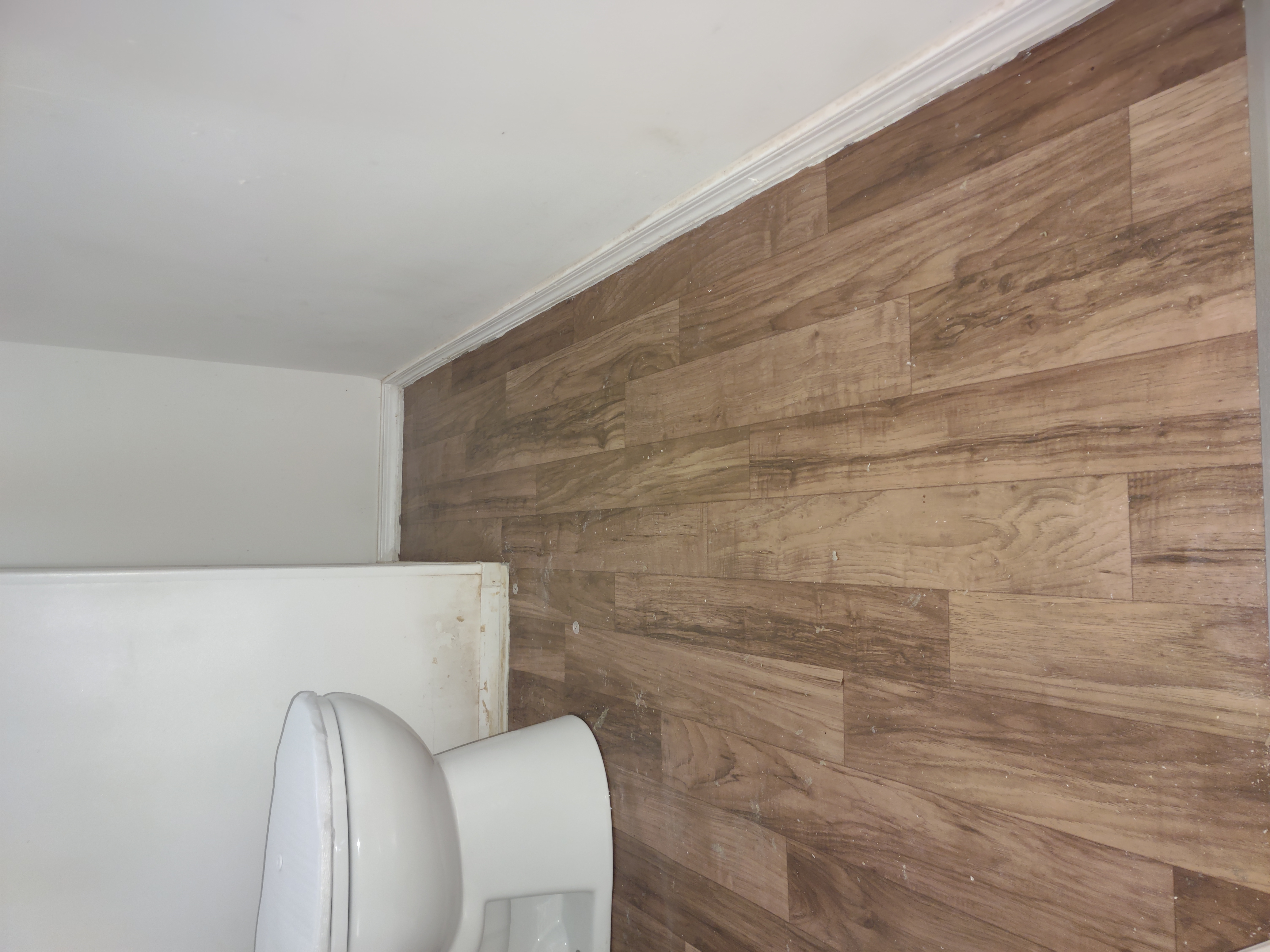 Avatar for Adam tuck