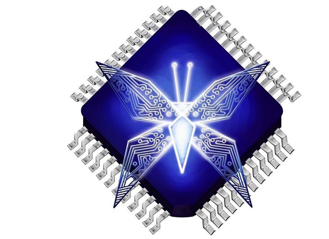 Cyberbug Solutions LLC logo