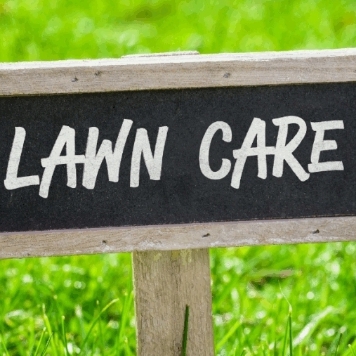 Avatar for K.D. Landscape