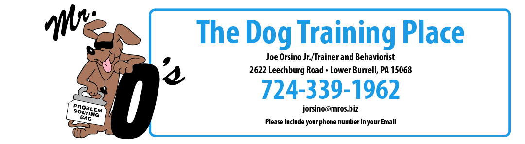 MR O'S THE DOG TRAINING PLACE logo