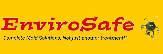 Avatar for Envirosafe