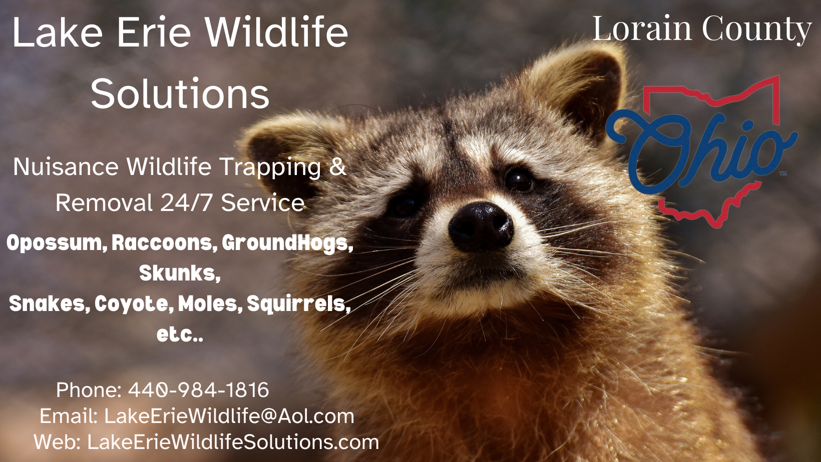 Avatar for Lake Erie Wildlife Solutions 