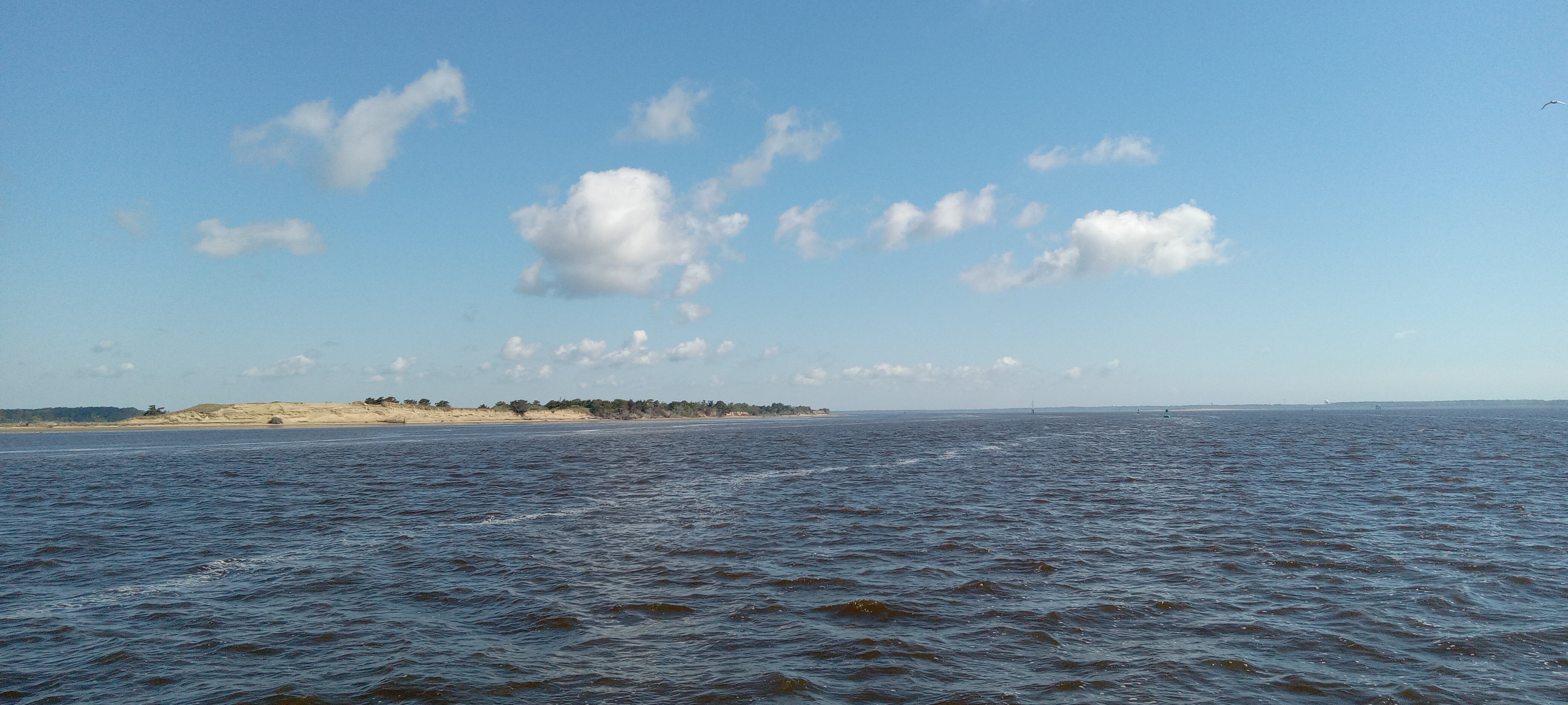 Avatar for Bluewater Electrical And Safety Training