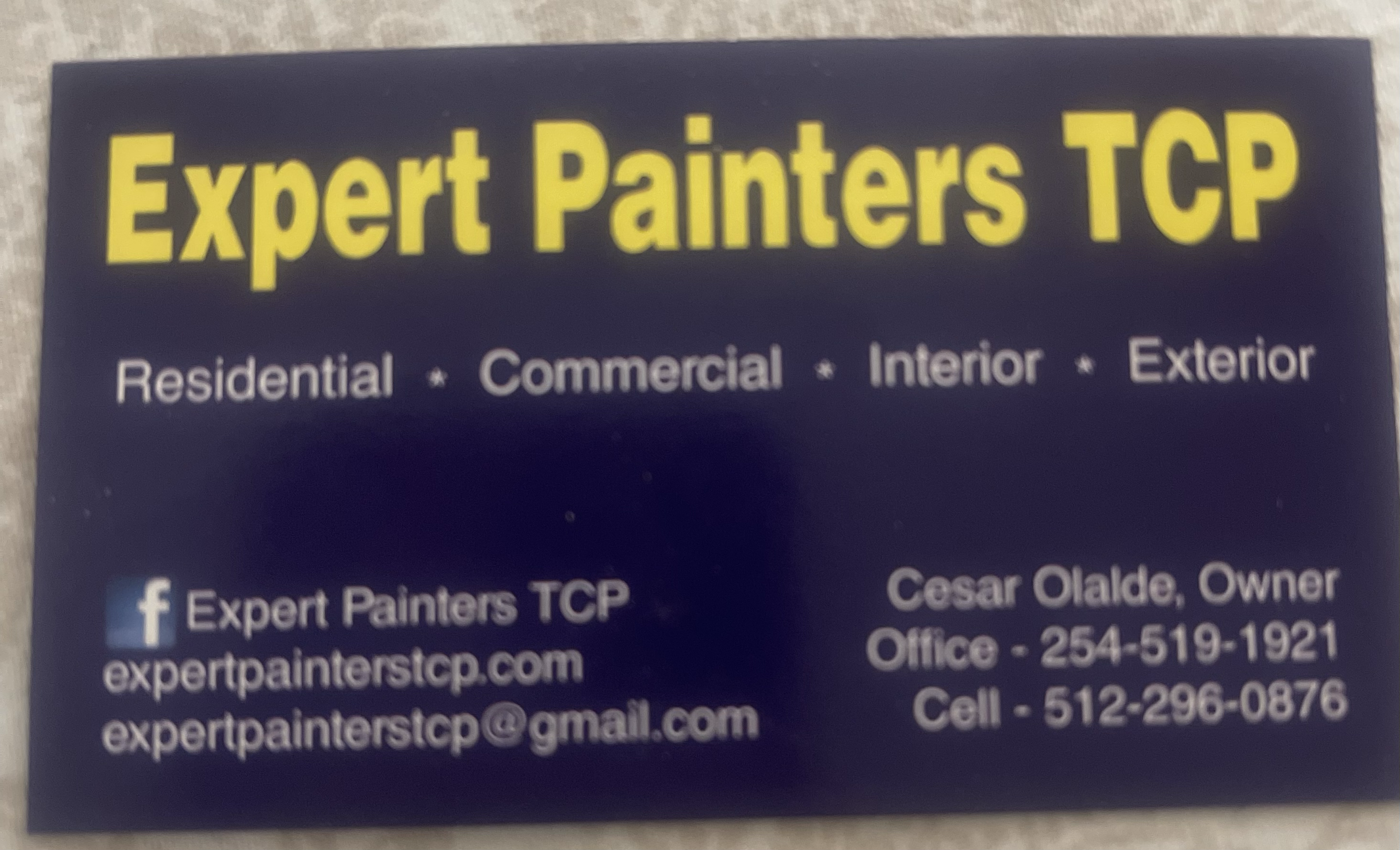 Logo for Expert Painters TCP