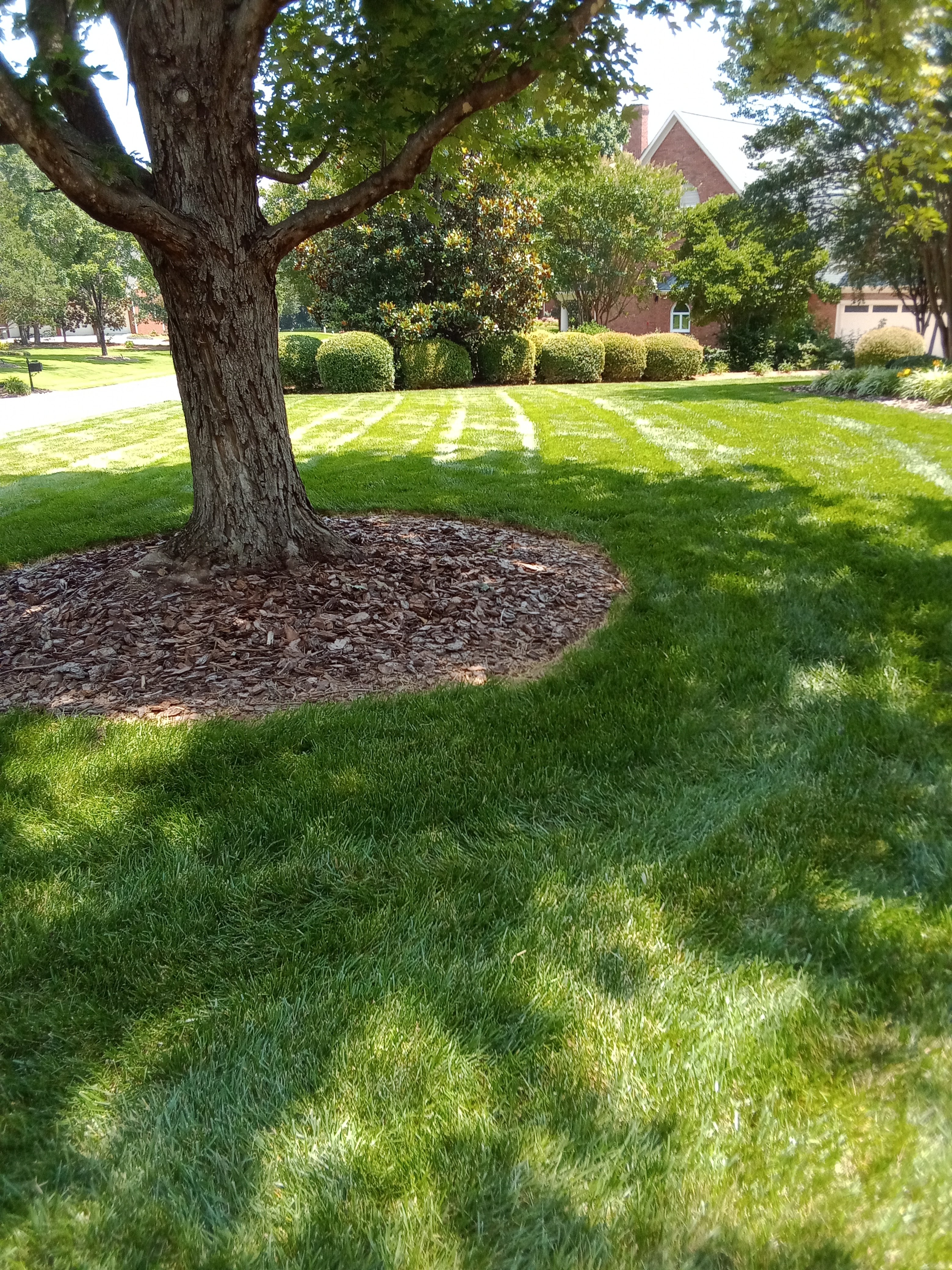 Avatar for L&m tree service llc 