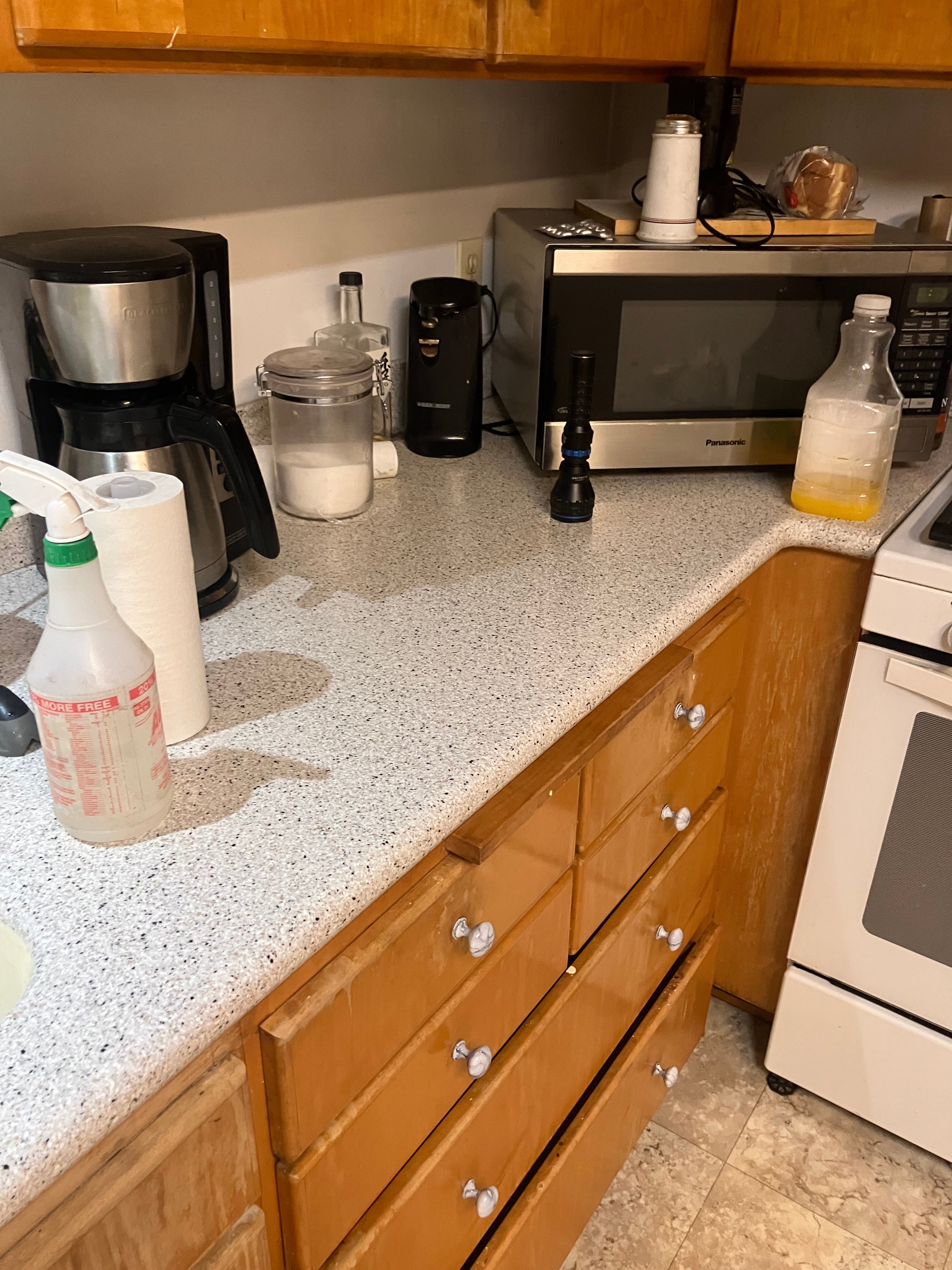 Avatar for A HandyGurlz Services and Cleaners