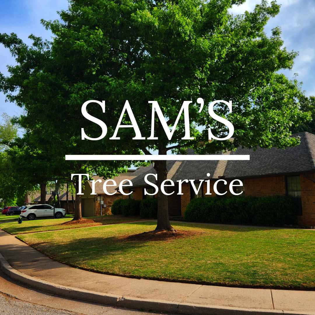 Sam Tree Service & Stump Grinding logo