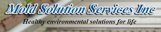 Avatar for Mold Solutions Services Inc