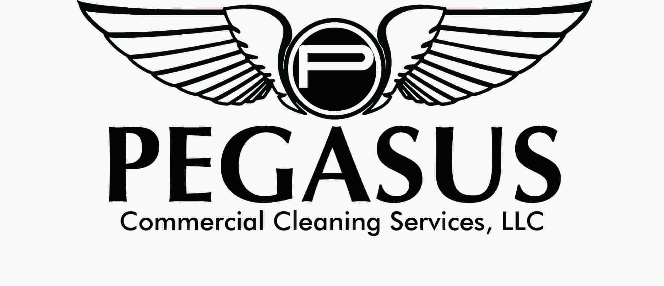 Avatar for Pegasus Commercial Cleaning