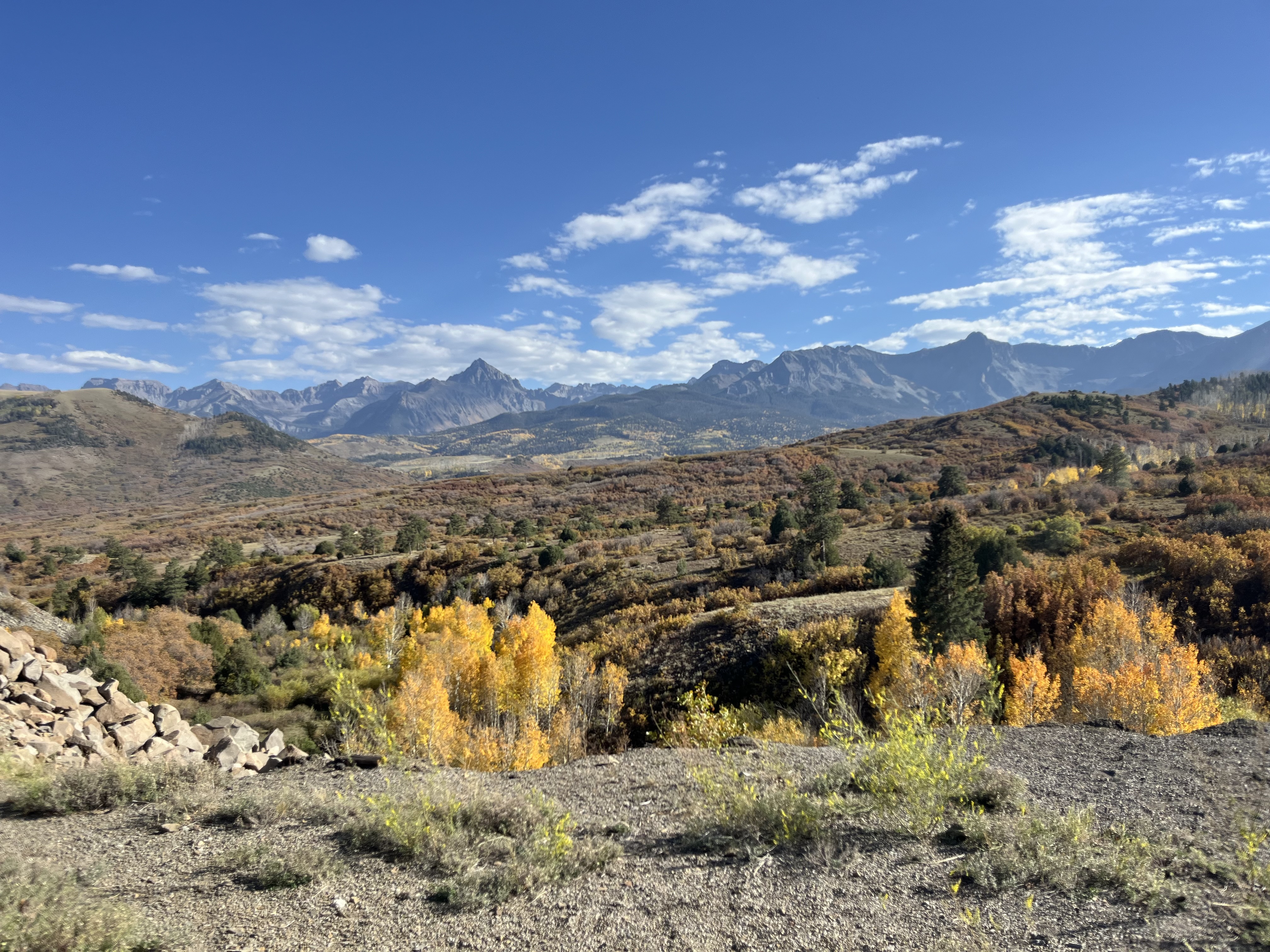 Avatar for Woody Jimboy 