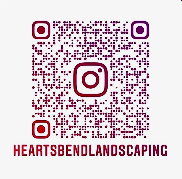 Avatar for Terri Mateer