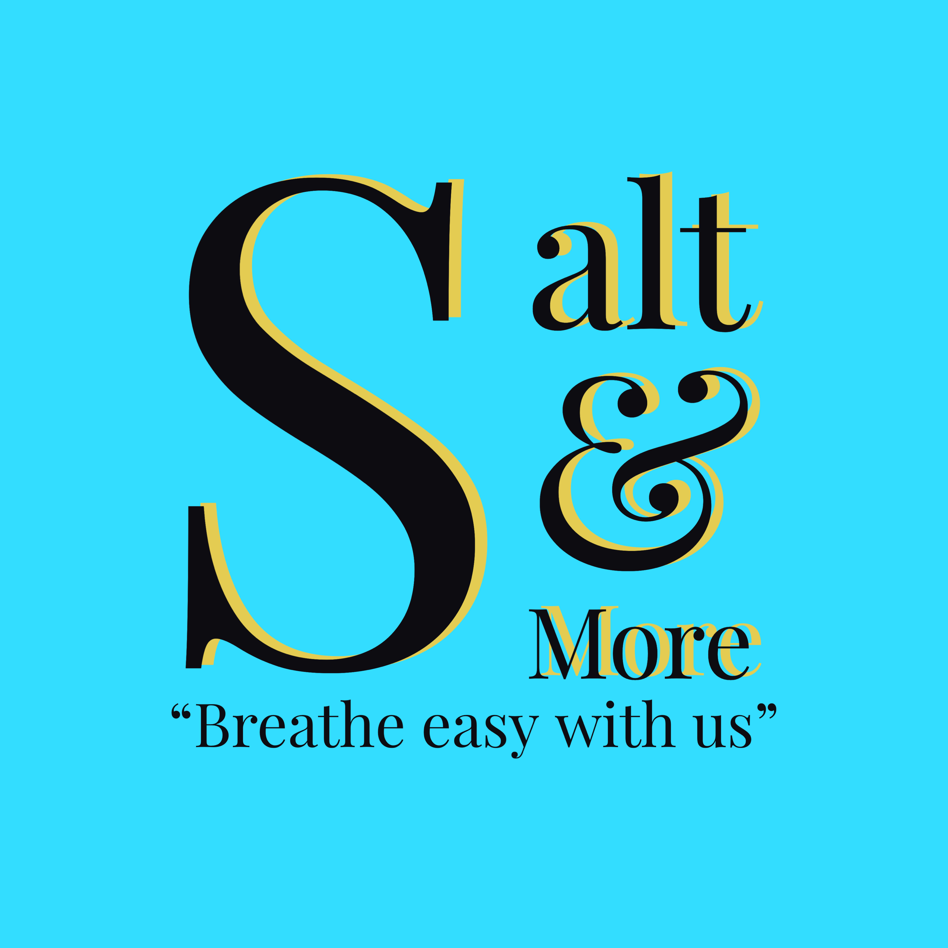 Salt And More logo