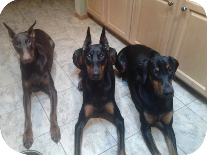 Three Amigos