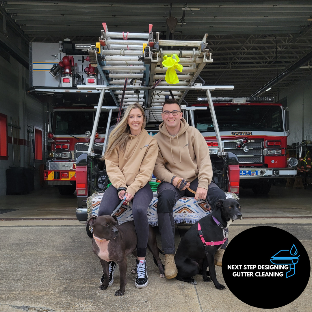 Avatar for Next Step Designing - Gutter Cleaning