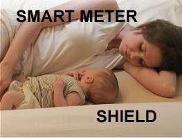 Smart Meter Shield logo