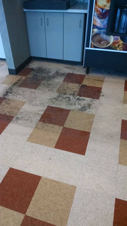 Before Scrub