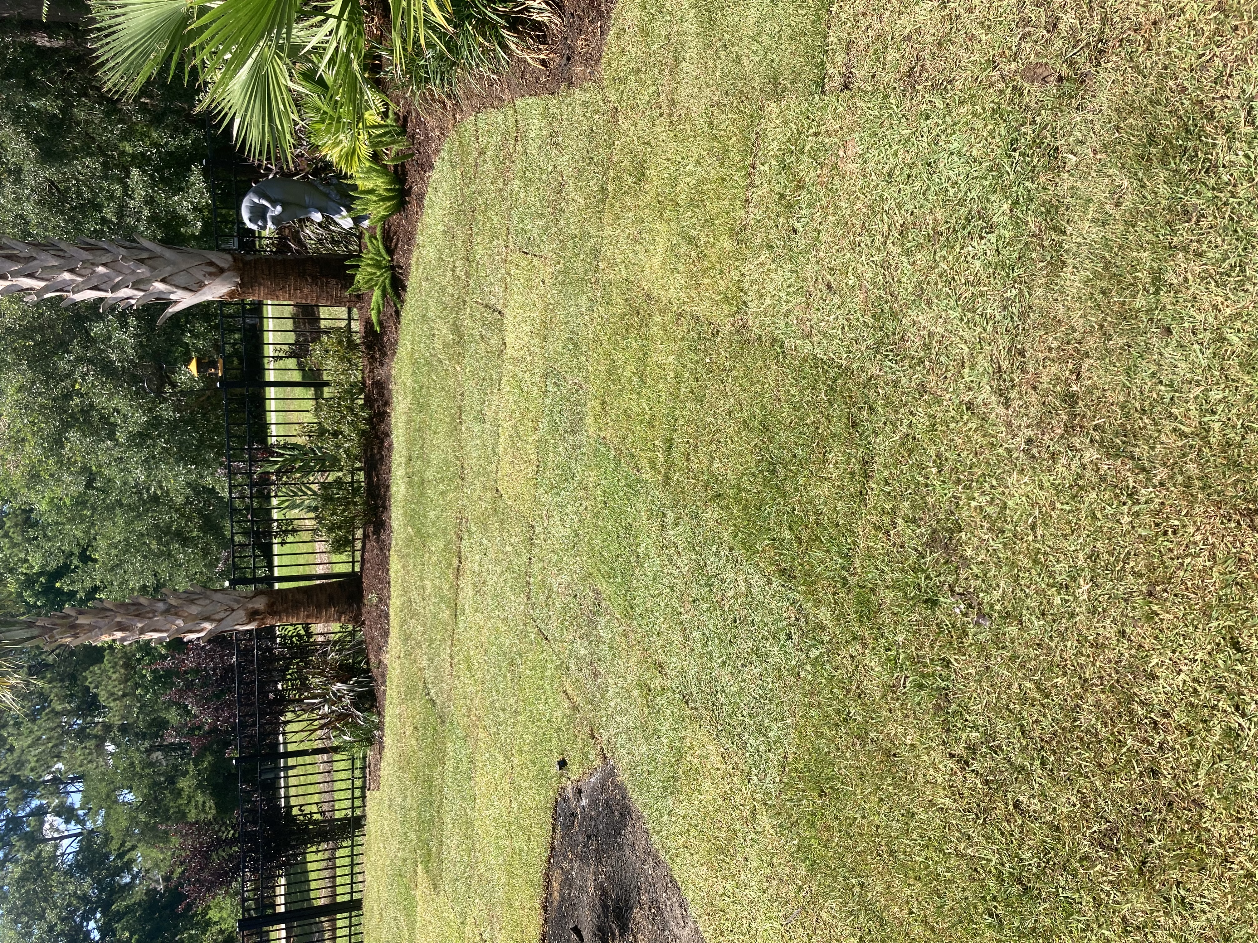 Avatar for Broadway & Comoany