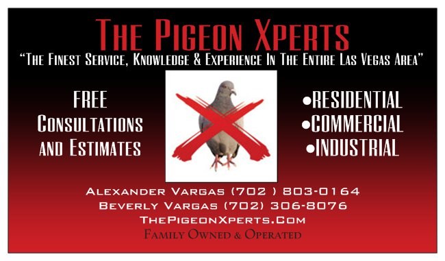 The Pigeon Xperts logo