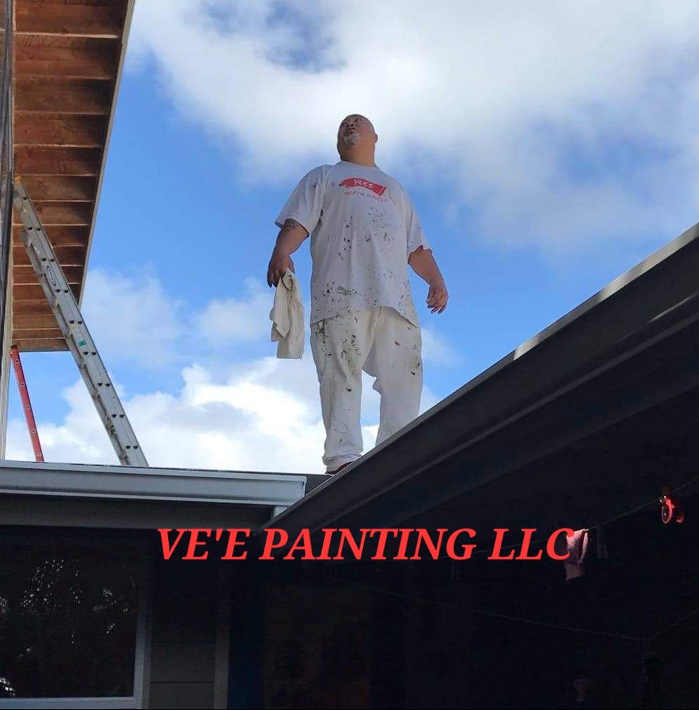 Avatar for VE'E PAINTING LLC