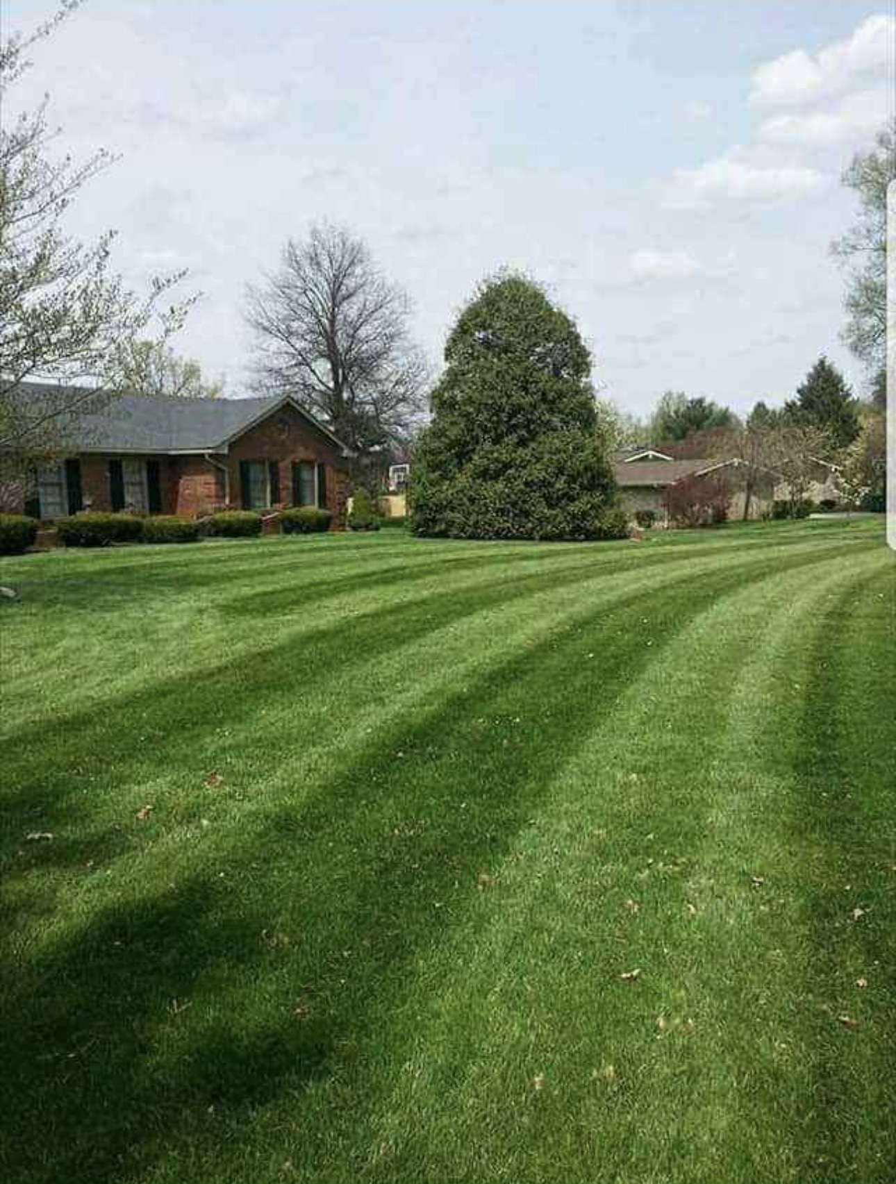 Avatar for Warthen Landscape 