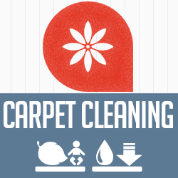 Avatar for Carpet Cleaning Gaithersburg