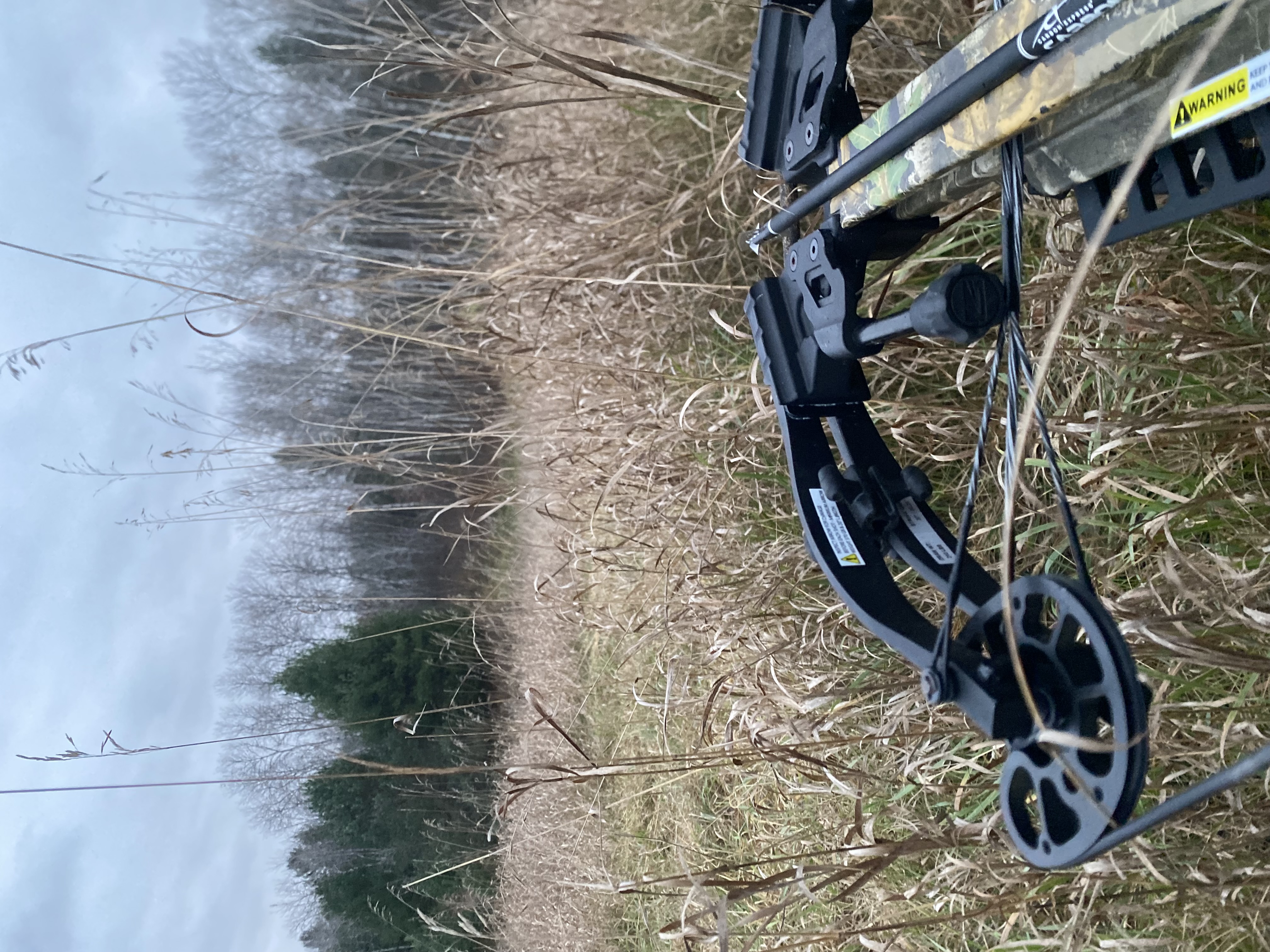 Avatar for DB & BROS