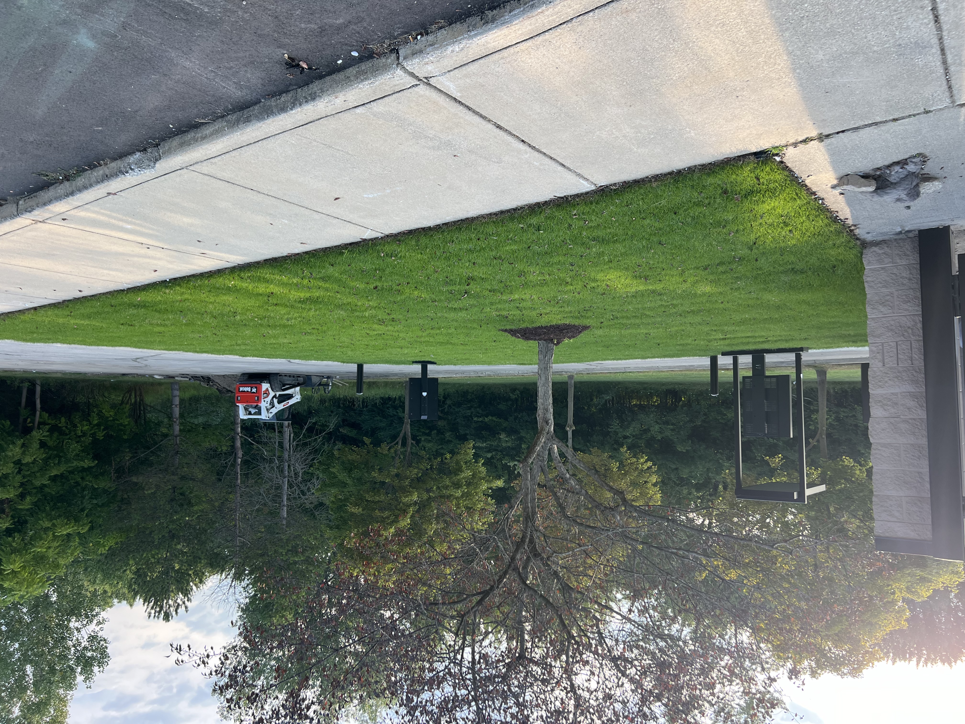 Avatar for Lacy’s property services LLC