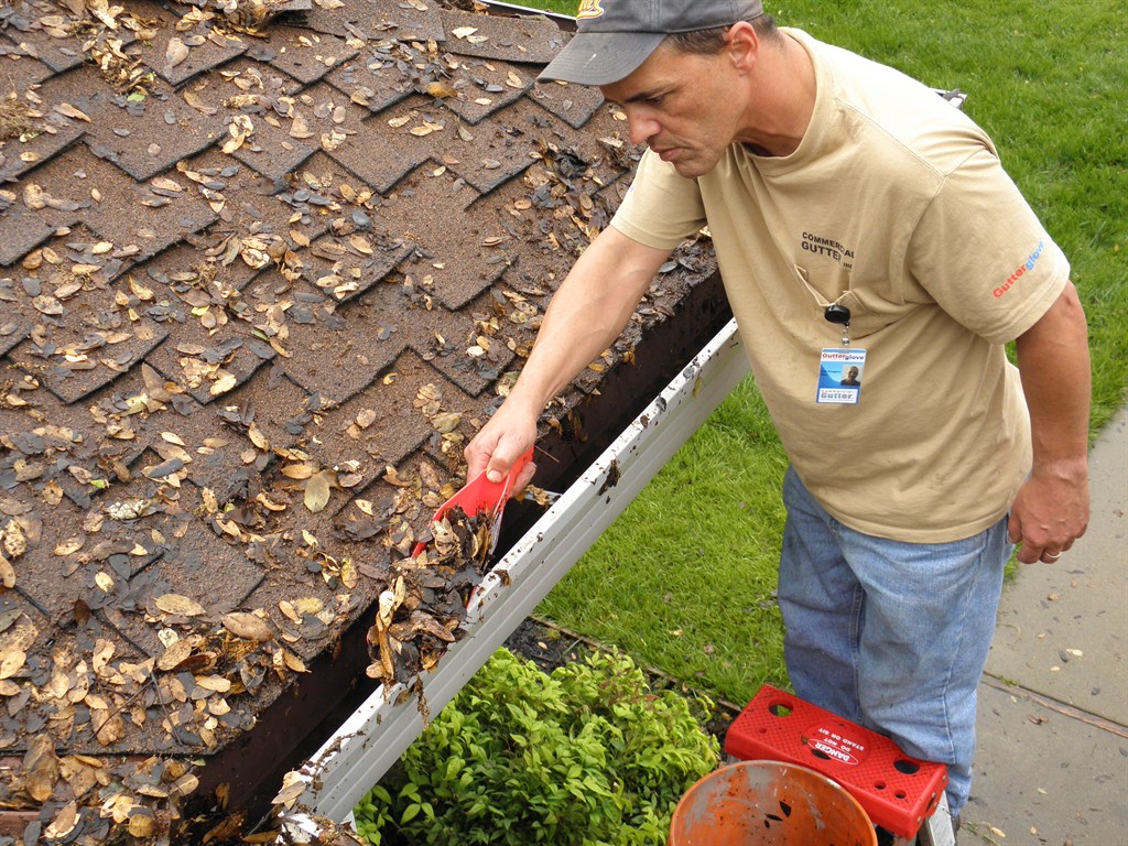 Commercial Gutter & Cleaning Reviews Fremont, CA Angi