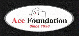 Logo for ACE FOUNDATION