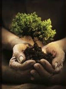 Avatar for Falmouth Property Management