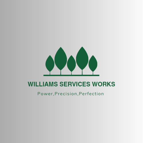 Avatar for Williams services works