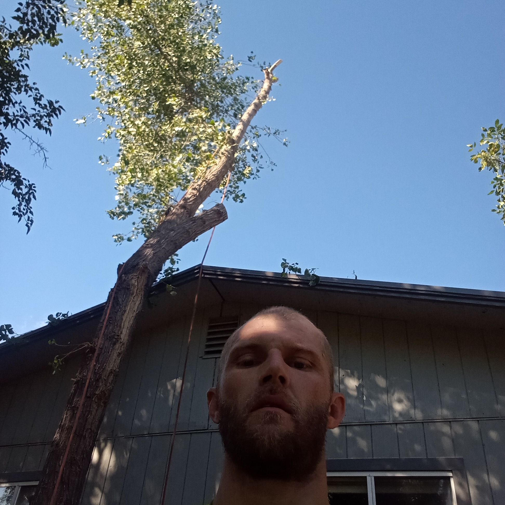 Avatar for Green Acres Tree Service