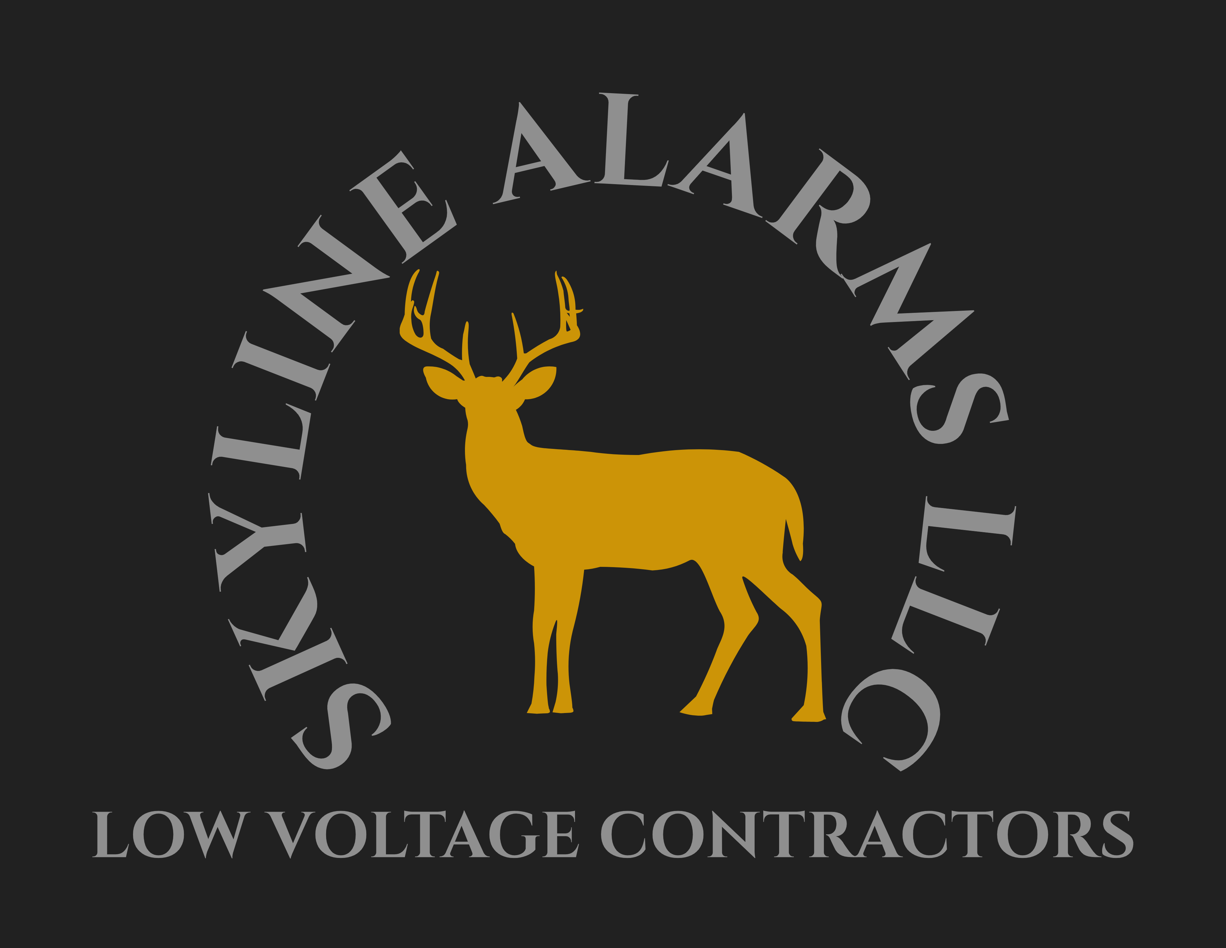 Avatar for Skyline Alarms LLC