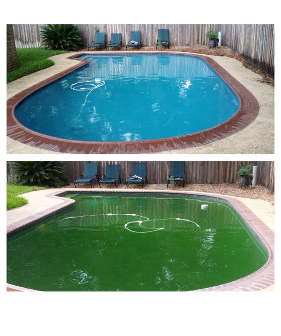 Before & After Cleaning 