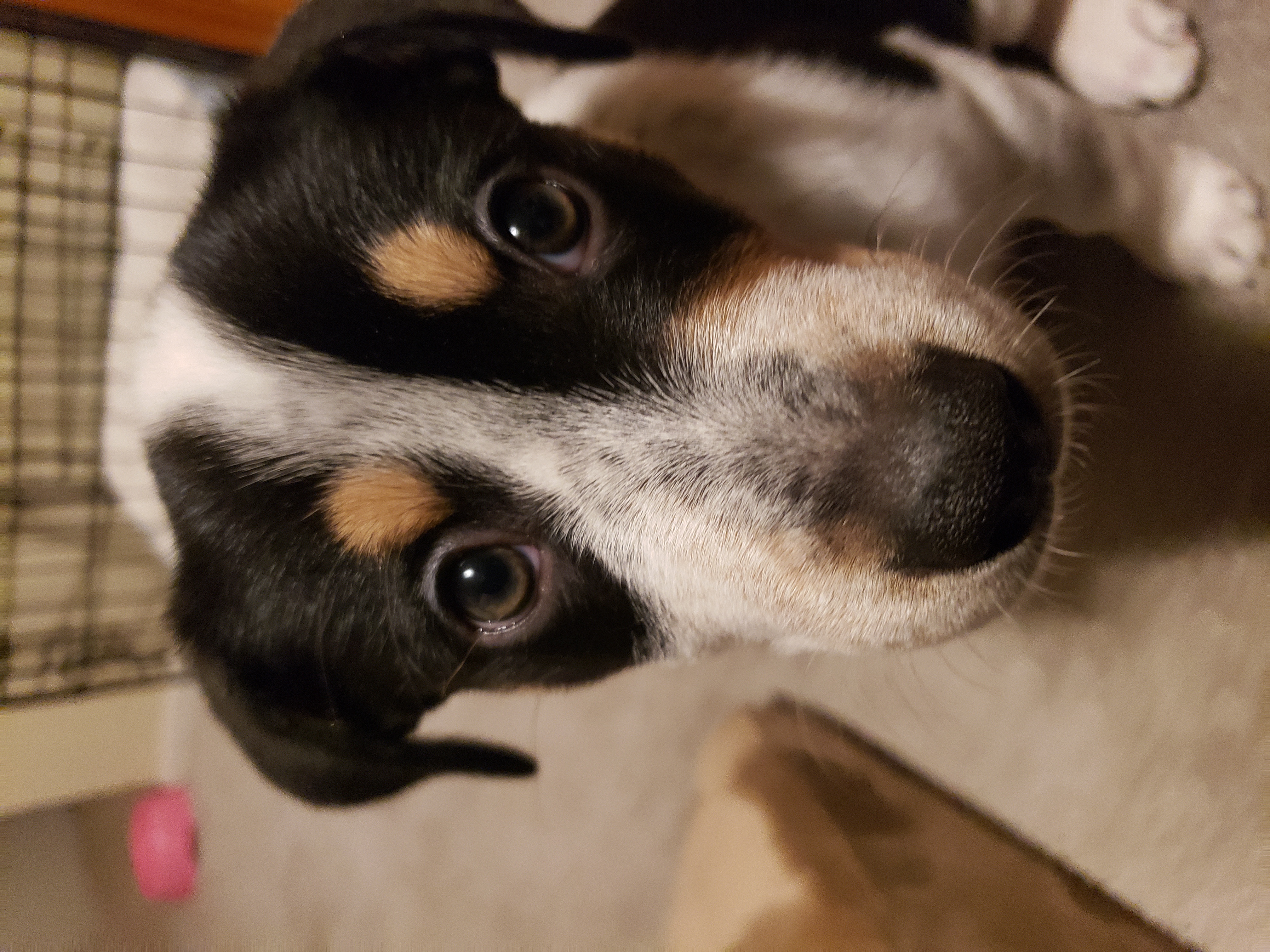 Avatar for Jon Hann Electrical Handyman