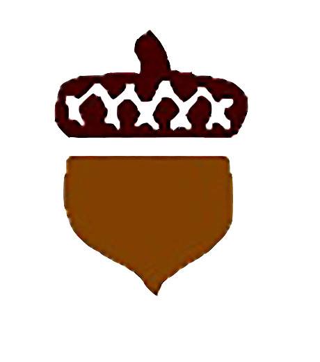 Logo for ACORN BERNIER ELECTRIC