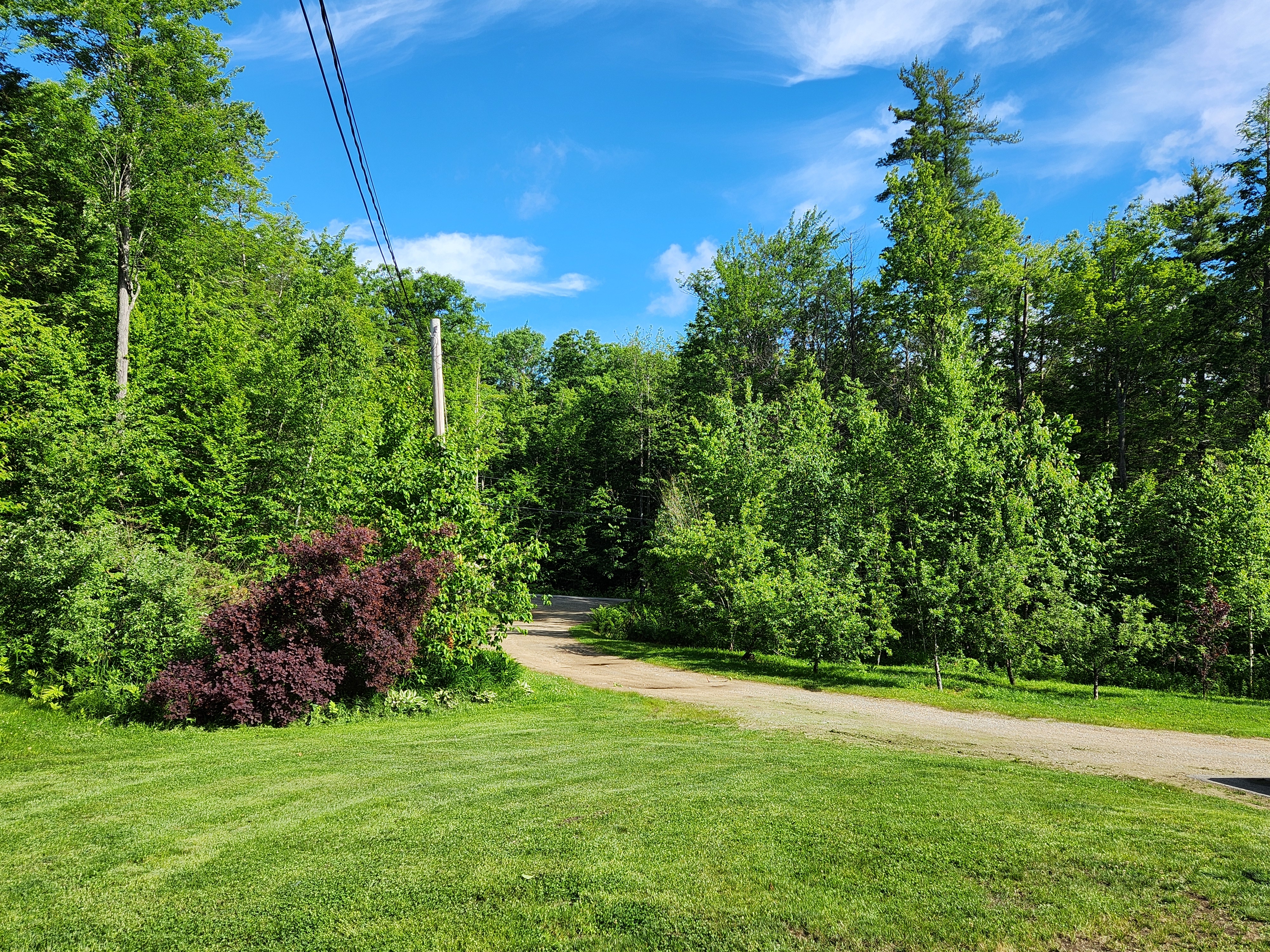 Avatar for ACH Lawn Care Maintenance LLC