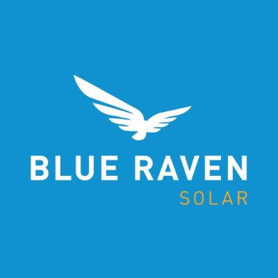 Avatar for Blue Raven