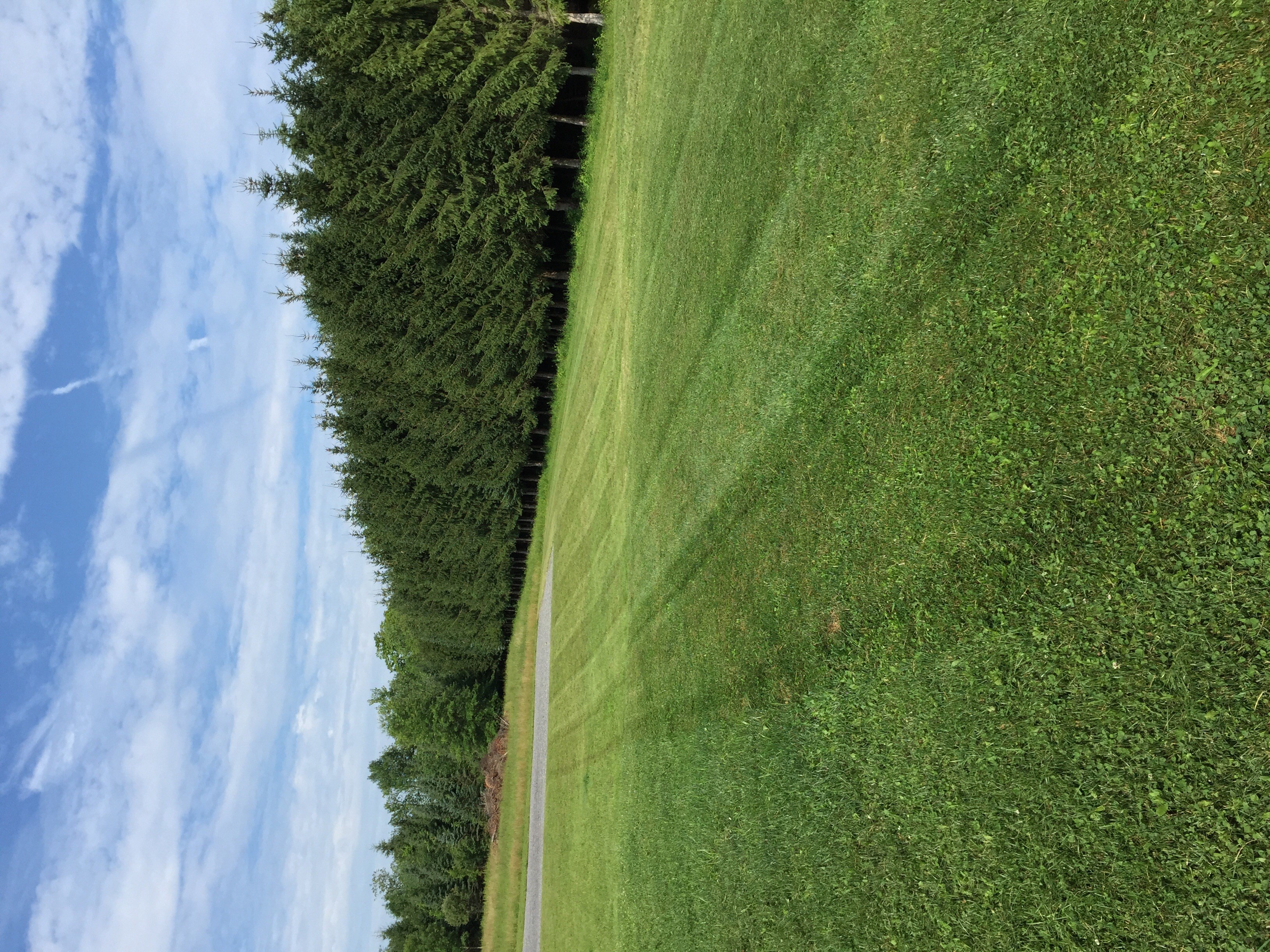 Avatar for A.J.B Property Maintenance