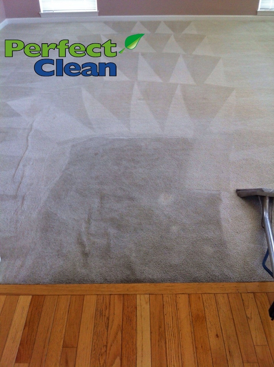 Avatar for Perfect Clean