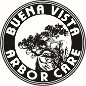 Logo for Buena Vista Arbor Care